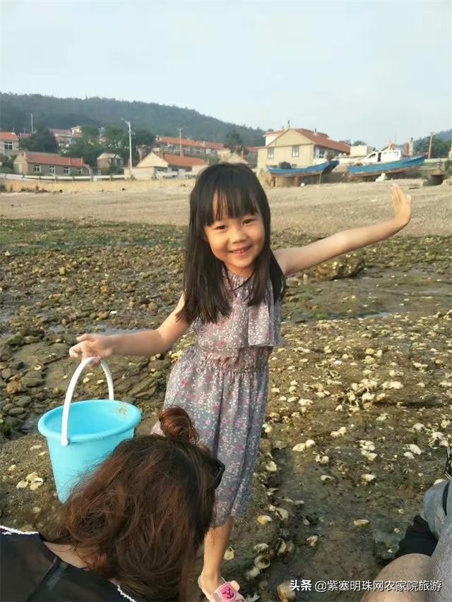 大连獐子岛旅游攻略住宿,獐子岛旅游住宿费用