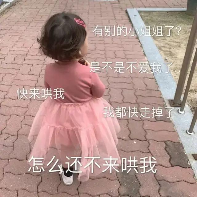 表情包作业多,作业一点都不多表情包