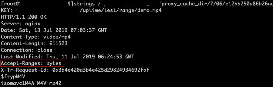 案例分析,Mac与iOS客户端无法*放播**视频,服务端的问题?