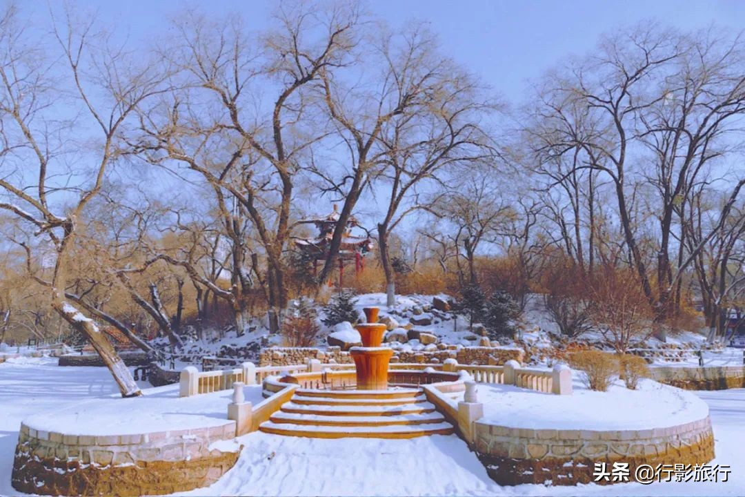 东北人是如何评价日本人的,作为东北人你怎么评价哈尔滨