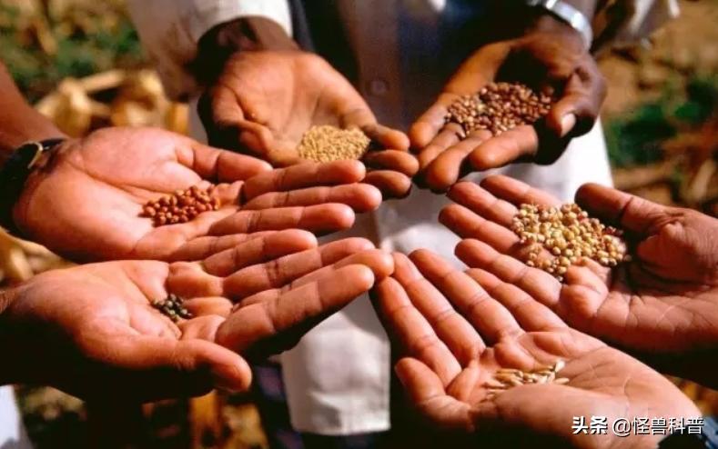 为什么科学家不研究成人增高,科学家为什么不研究人与动物对话