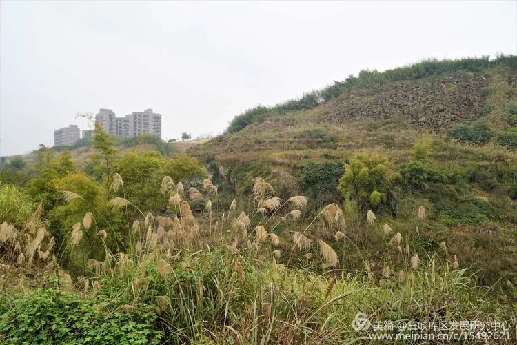 北碚复兴镇最近的视频,重庆市北碚龙门桥