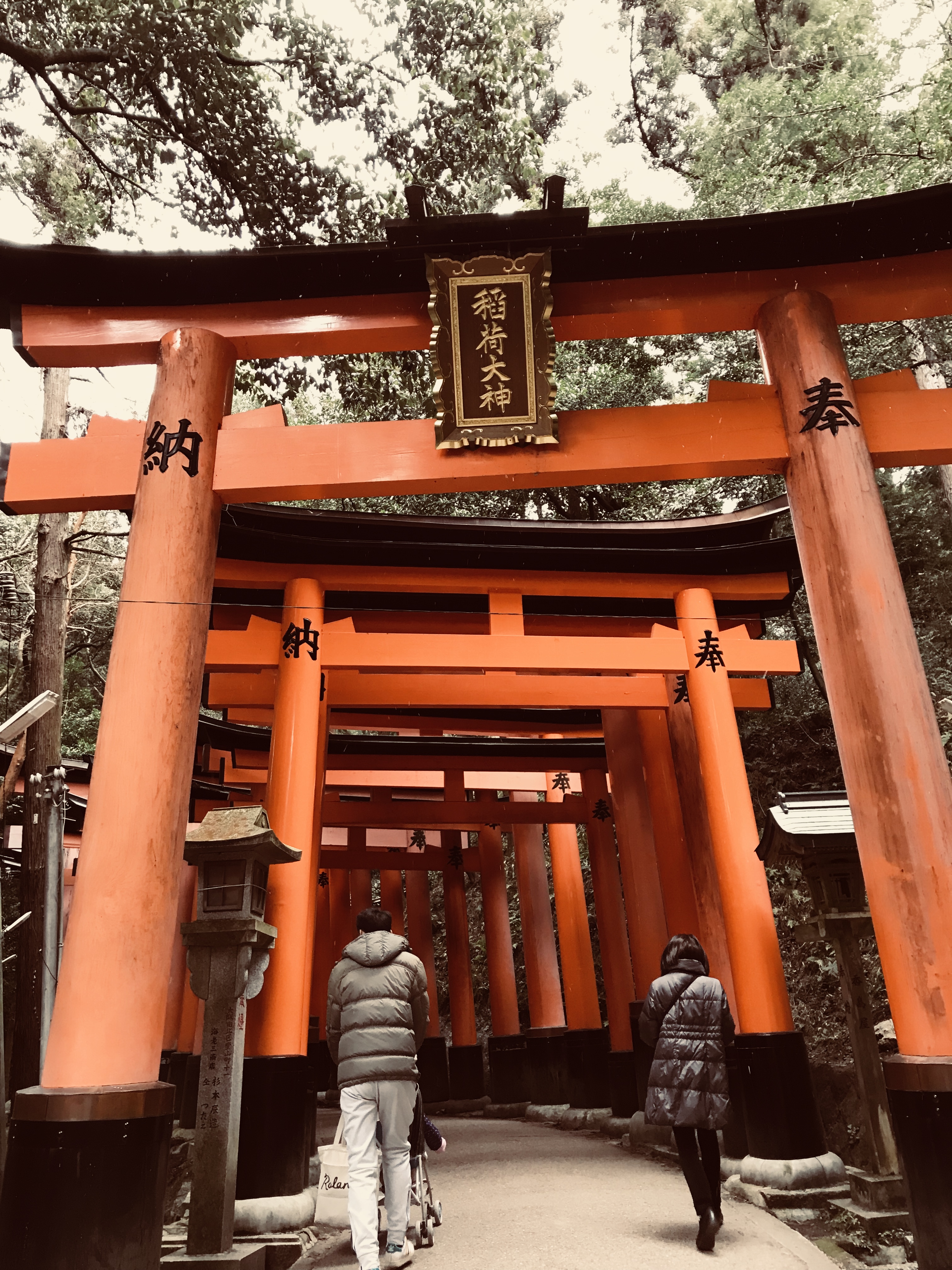 京都伏见稻荷大社宿游,京都必打卡伏见稻荷大社千本鸟居
