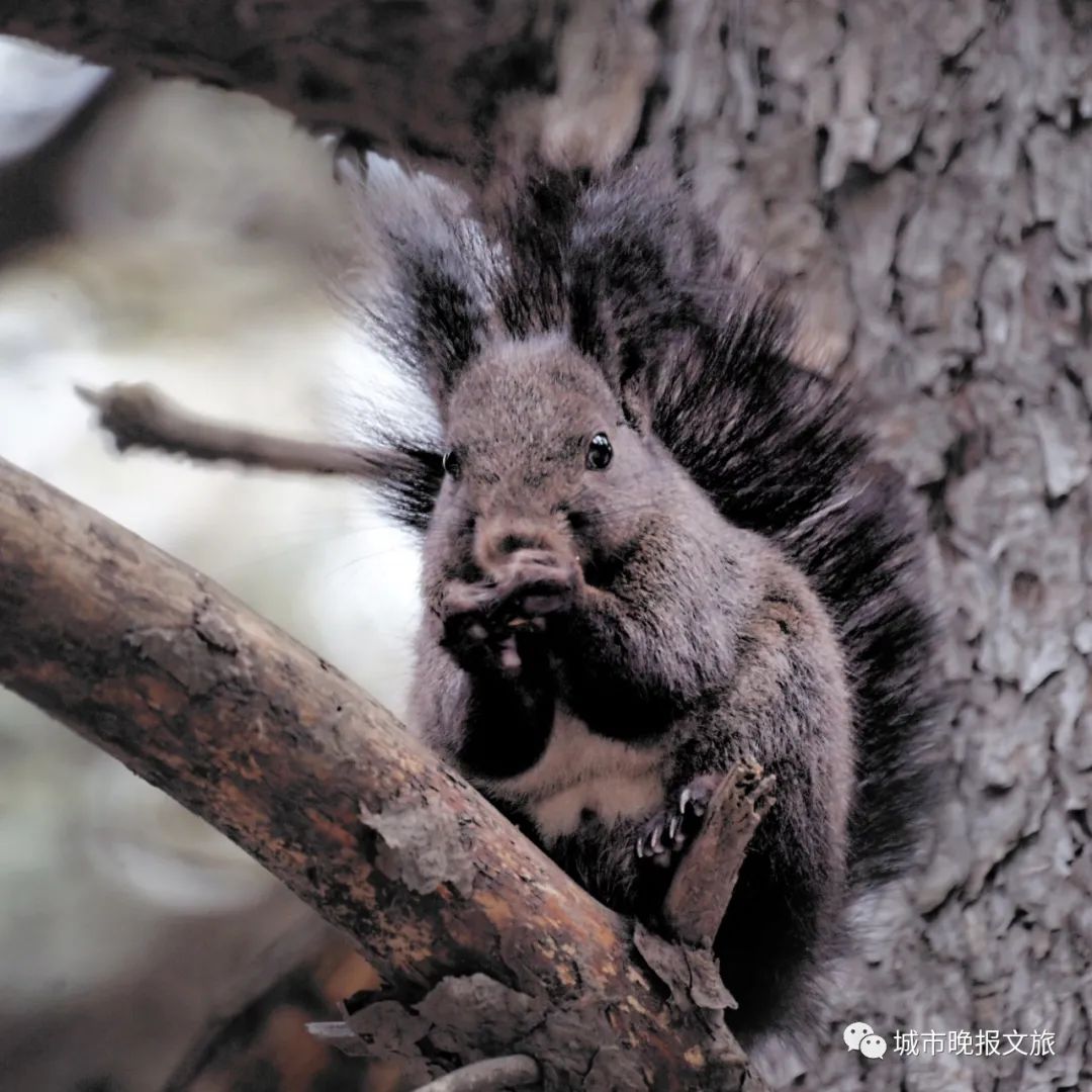 城晚拍拍丨落日余晖