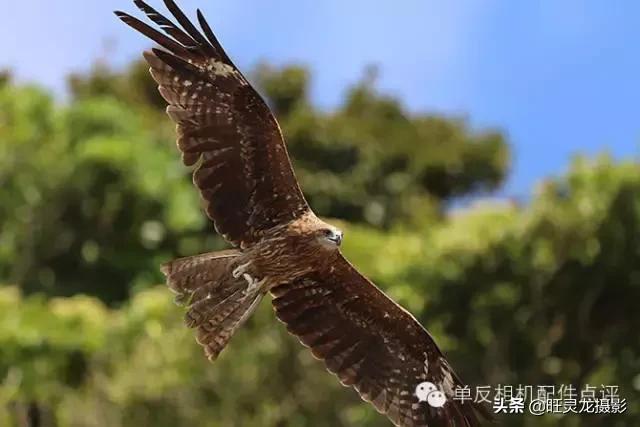 佳能7d2最快抓拍速度多少,佳能7d2拍摄人像参数