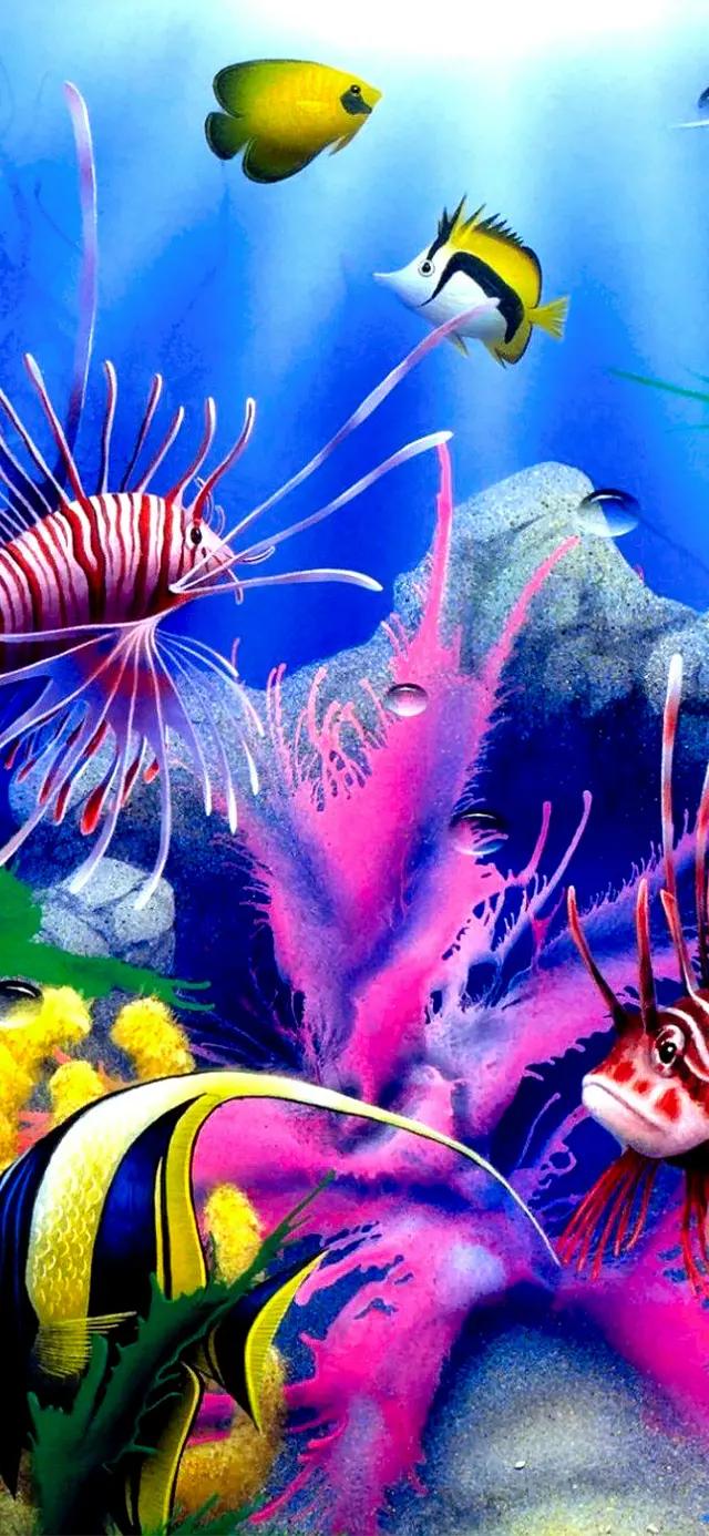 高清海底世界壁纸原生态动态,高清海底世界壁纸4k全屏无水印