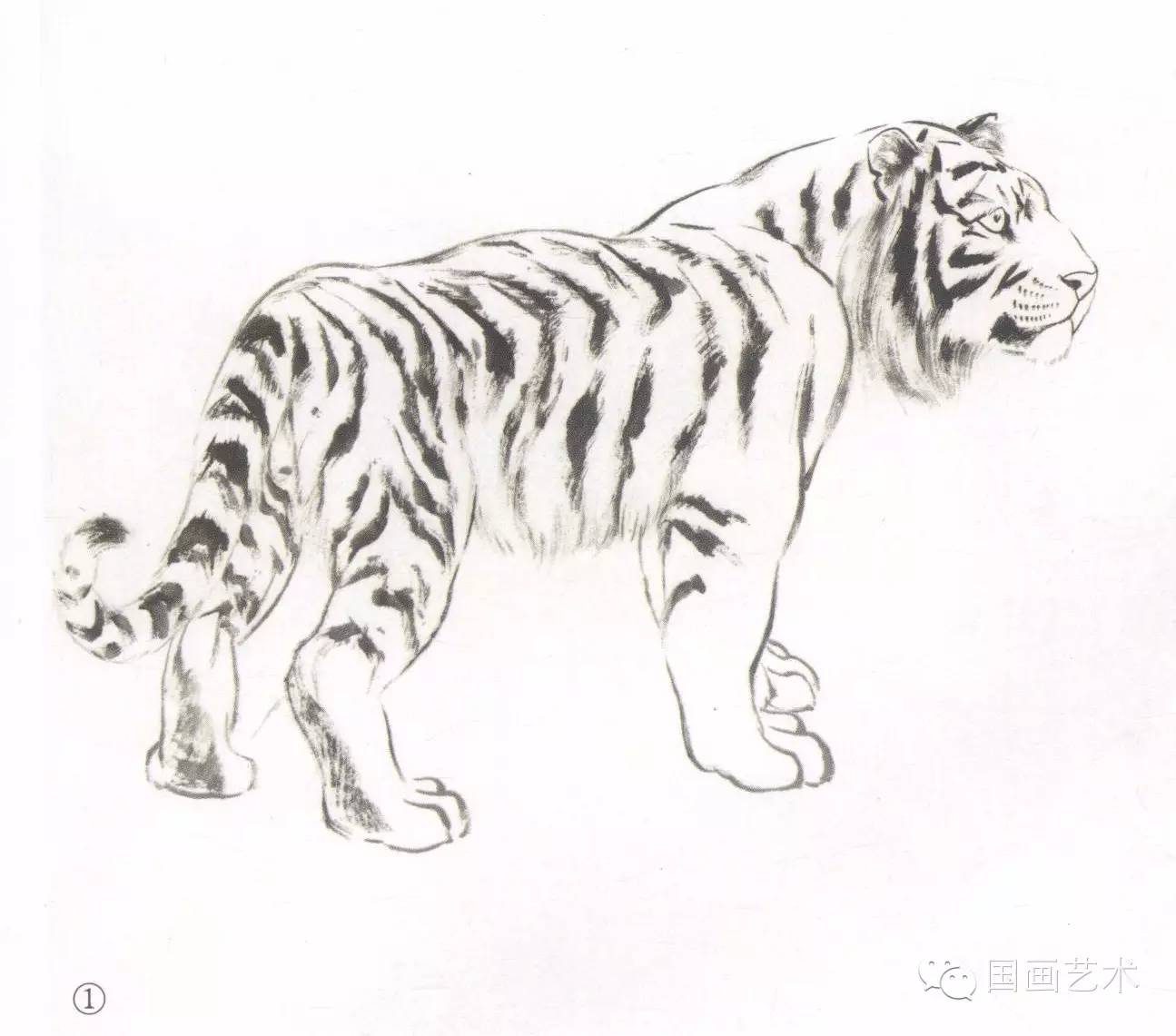 写意画虎教程,写意虎的十种方法