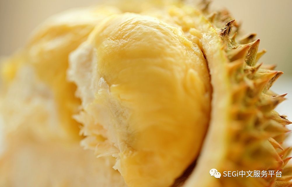 马来西亚的榴莲有啥品种,马来西亚榴莲有几种