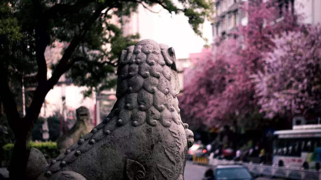 退休后就去国内旅游,退休后必去的100个景点