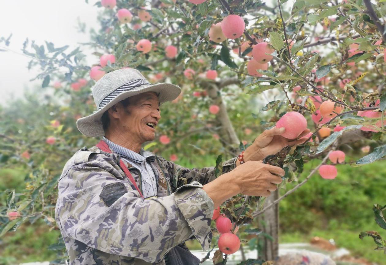 红土镇穷吗,印台区红土镇视频
