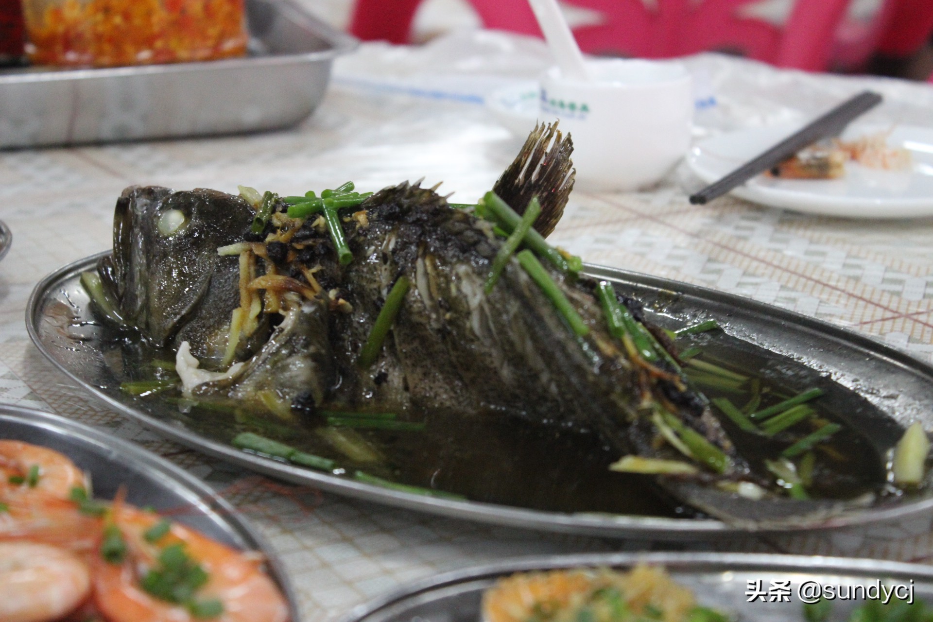 小奔奔,长安新能源奔奔自驾游西藏