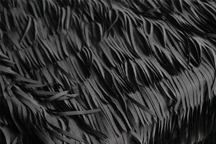 这种鱼太黑了，能吸收99.5%的光线，科学家称其为“超黑鱼”