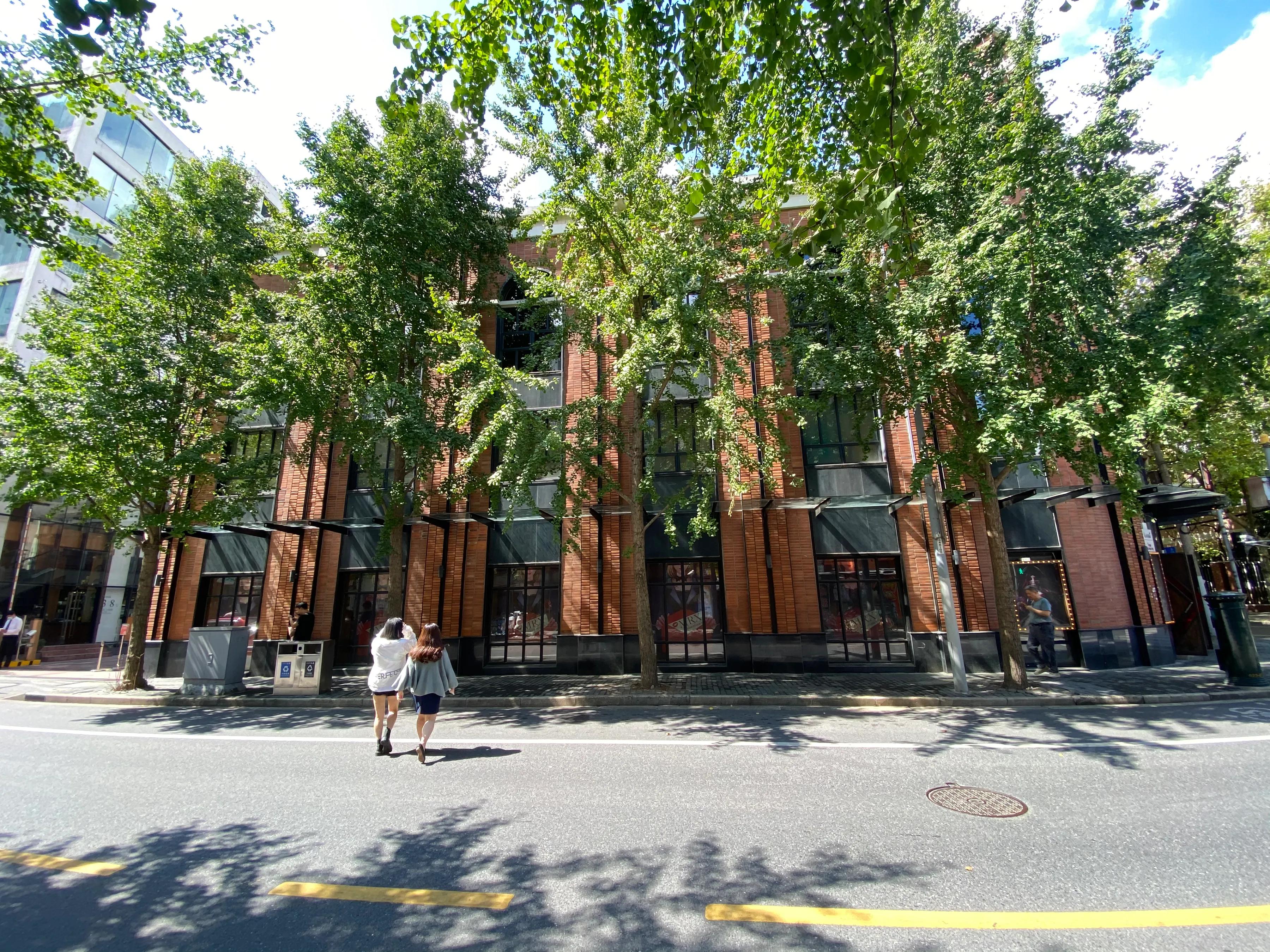 去上海局门路，来一场有去无回的旅行