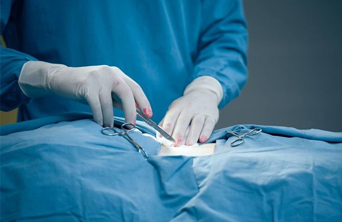 首例“假死”技术实现了？“死而复生”竟是这样......