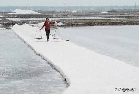 天津宁河,300年畔海听风,等待着明天的姹紫嫣红