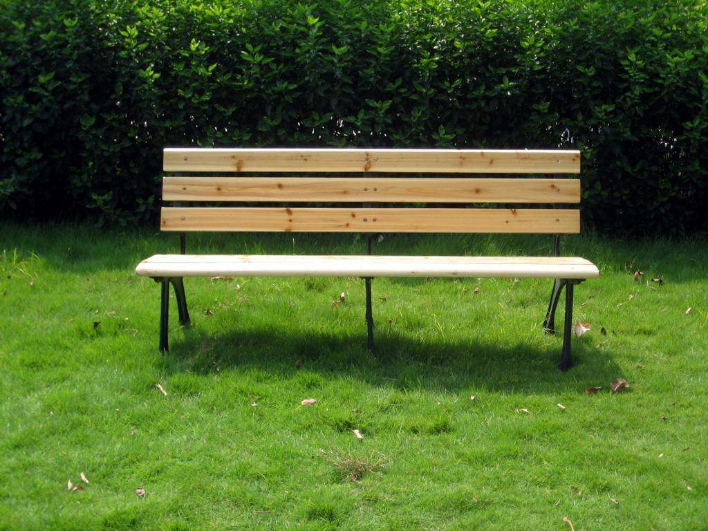 你生而有翼，为何竟愿一生匍匐前行