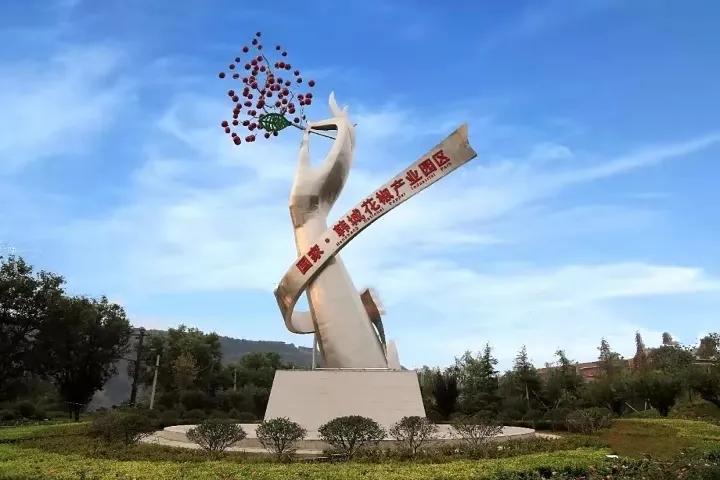 韩城大红袍和汉源花椒哪个好,韩城大红袍花椒介绍