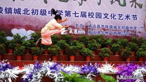 威远县少年宫,内江威远少年宫