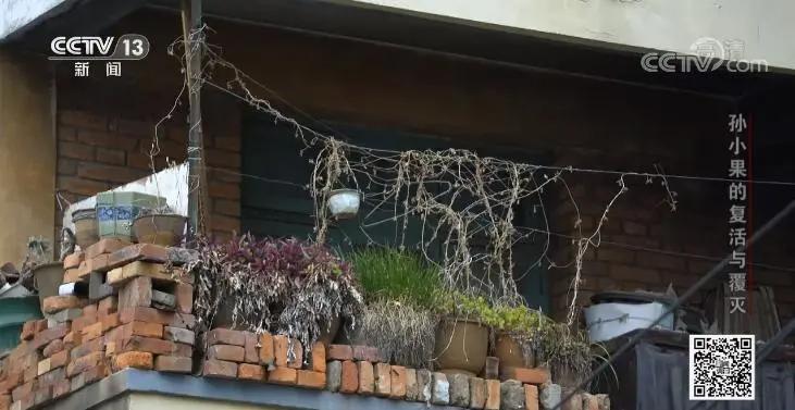 社会与法孙小果,社会评论孙小果