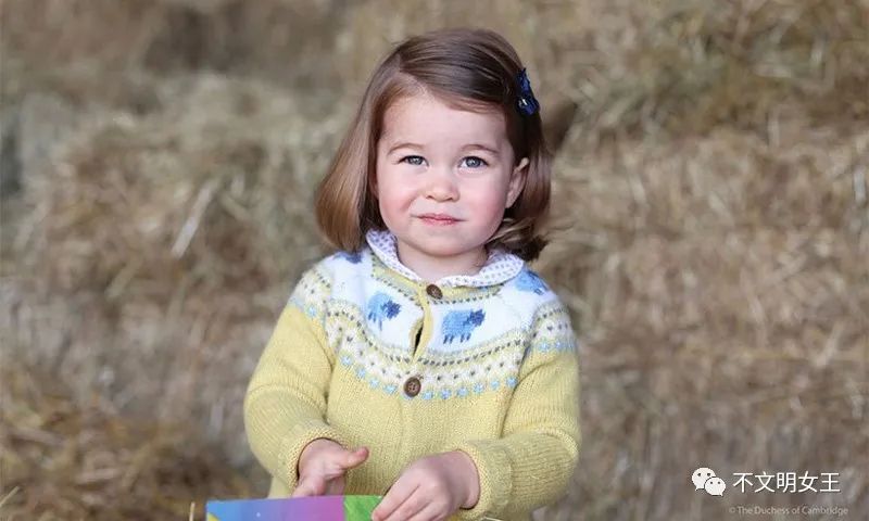 英国王室乔治王子,英国王室乔治夏洛特