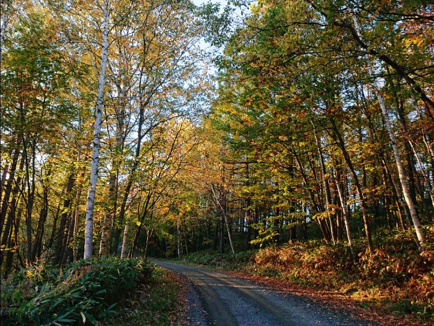 北海道登别到美瑛町需多久,日本北海道美瑛川的雪景