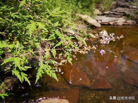 闀垮畨闆呭＋,闀垮畨闆呭＋瀹屾暣瑙嗛