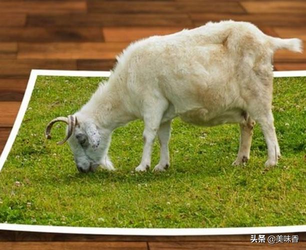 羊得了异食癖一招搞定,羊食毛癖是怎么回事