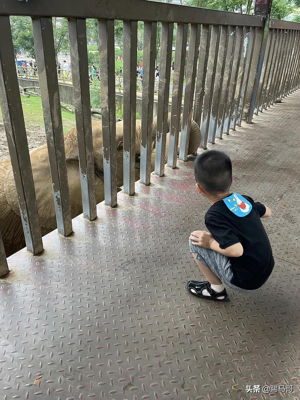 湖州龙之梦度假之旅,湖州龙之梦值得一去