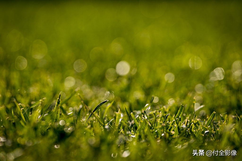 北京国际鲜花港门票优惠,北京国际鲜花港夏天