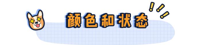 铲屎官都注意了狗狗为什么吐黄水,狗狗呕吐的5个常见原因