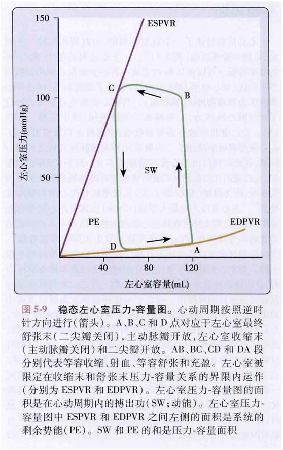 卡普兰教授的五本书,卡普兰治心衰新药