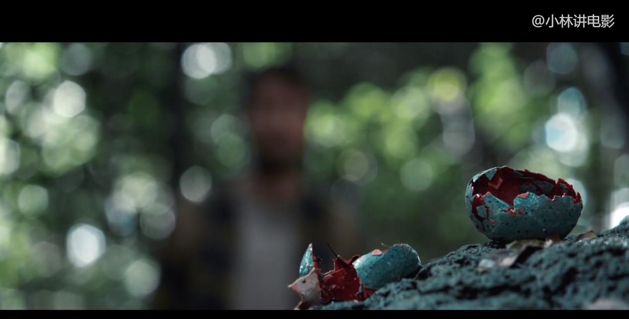 亚马逊热带雨林蟒蛇与怪物纪录片,埃德斯塔福德穿越亚马逊遇到蟒蛇