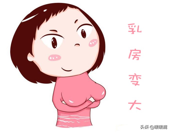 孕期乳房二次发育如何保养,孕期乳房怎么处理干净