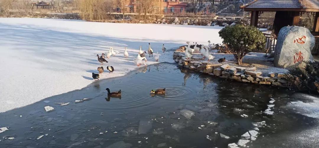 大连海事大学和辽宁省哪个级别高,大连海事大学辽宁省大学排名