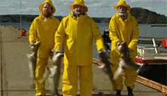 认错薛之谦算什么把鳕鱼当作咸鱼才叫IN!