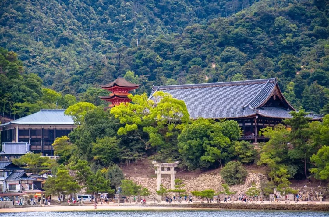 大阪攻略自由行,看惯了千篇一律的高楼大厦