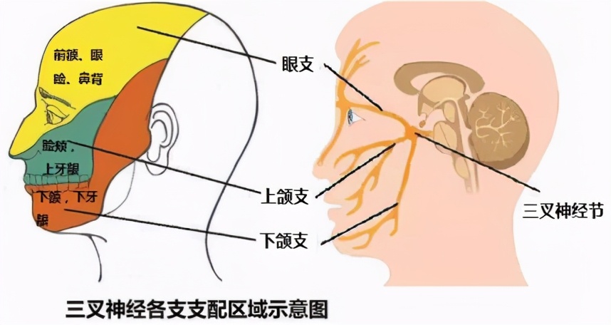 一针疗法治偏瘫有效果吗,帕金森手抖一针见效多久恢复