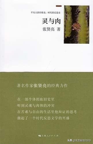 张贤亮最好的文学作品,张贤亮的小说全集