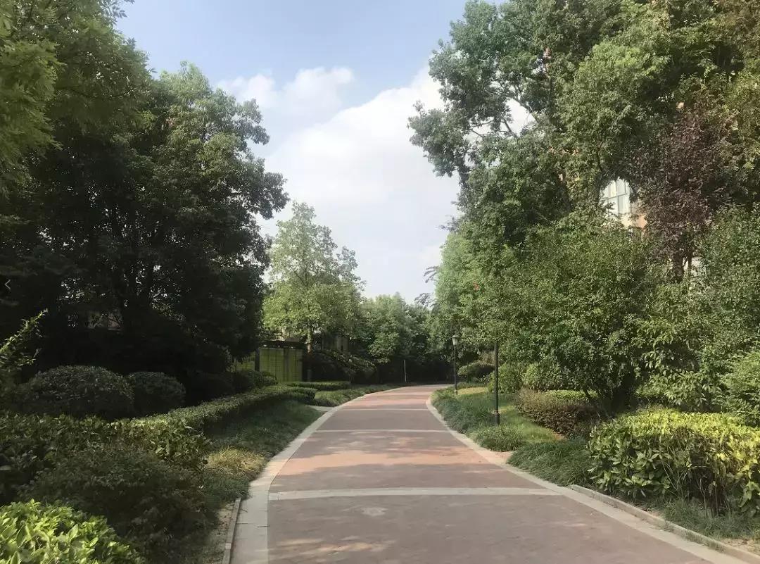 板桥神盘,板桥逸景的房子值得买吗