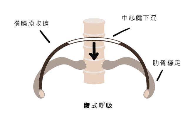 瑜伽练习呼吸的正确方法,瑜伽呼吸短浅怎么回事