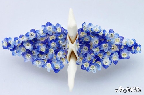 用折纸怎么才能折出千纸鹤,千纸鹤神仙叠法