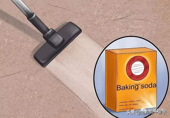 狗狗8个月还是乱拉乱尿怎么办,狗狗出了围栏就乱尿咋回事