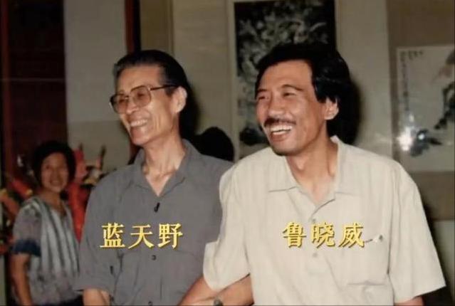 重温1990《渴望》：“刘慧芳”希望被导演写“死”