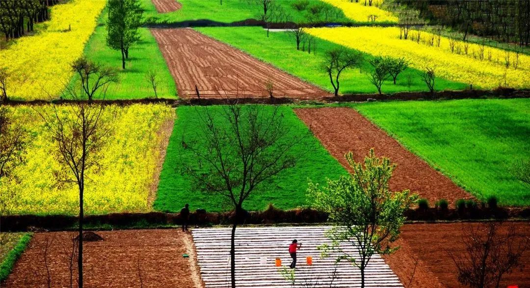 赞美庆阳的美景,庆阳的美
