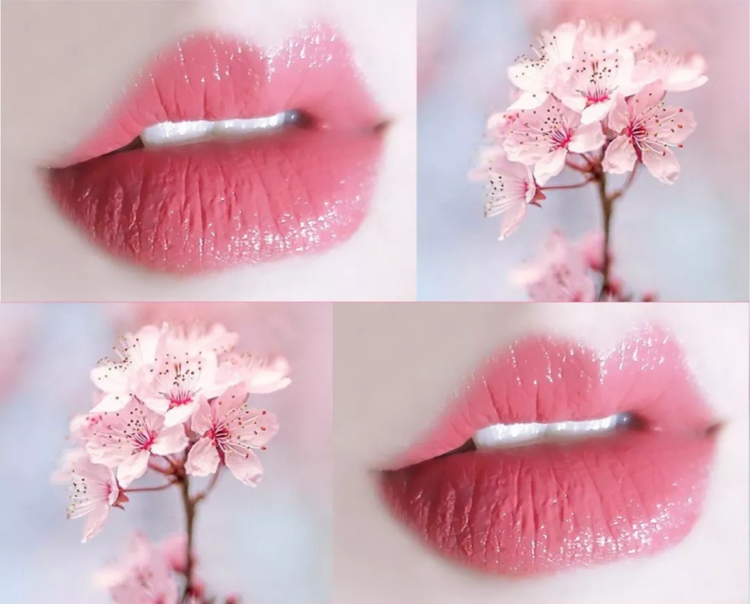 一套口红不掉色哑光,一套完整的口红