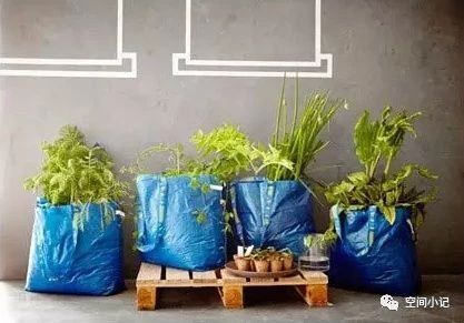 100元左右的宜家收纳小物件,欢迎推荐你觉得好用的宜家单品