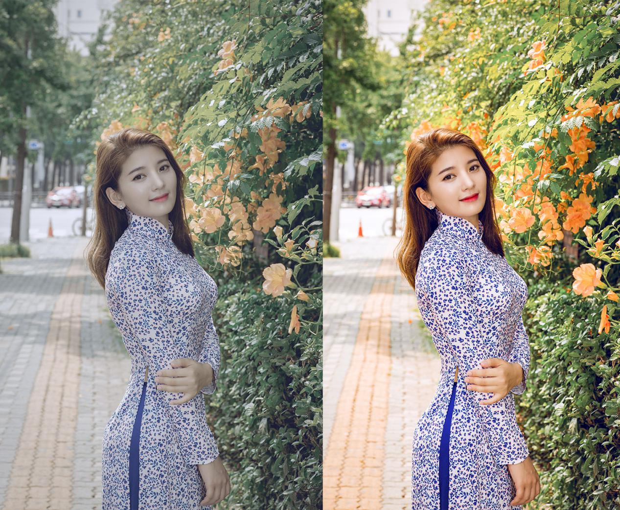 2020最新PS全套自学指南：送你300集课程+素材+笔刷+字体