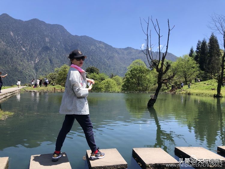 中国百慕大黑竹沟了解一下,穿越黑竹沟揭秘中国百慕大