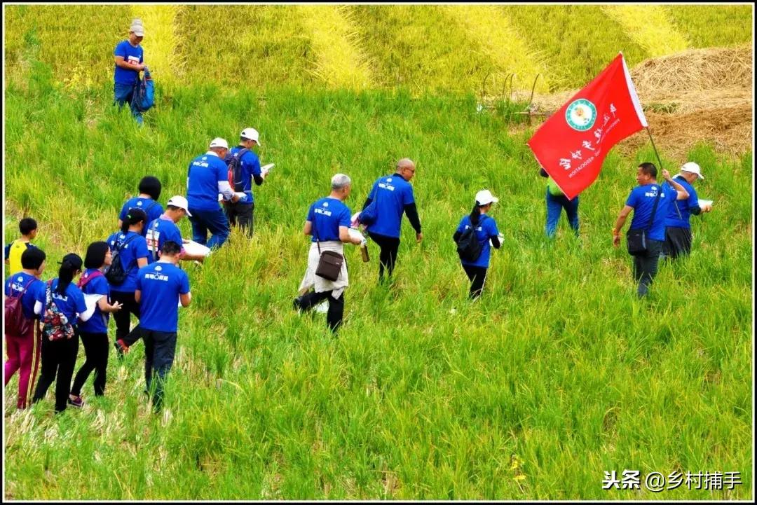 南粤古驿道拍摄后记,2018南粤古驿道展示