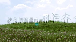 成都空港花田什么时候去最好看,双流空港花田这两天去好耍不